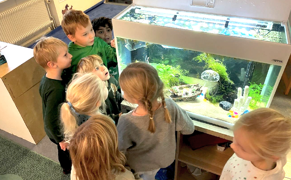 En grupp förskolebarn står samlade runt ett akvarium