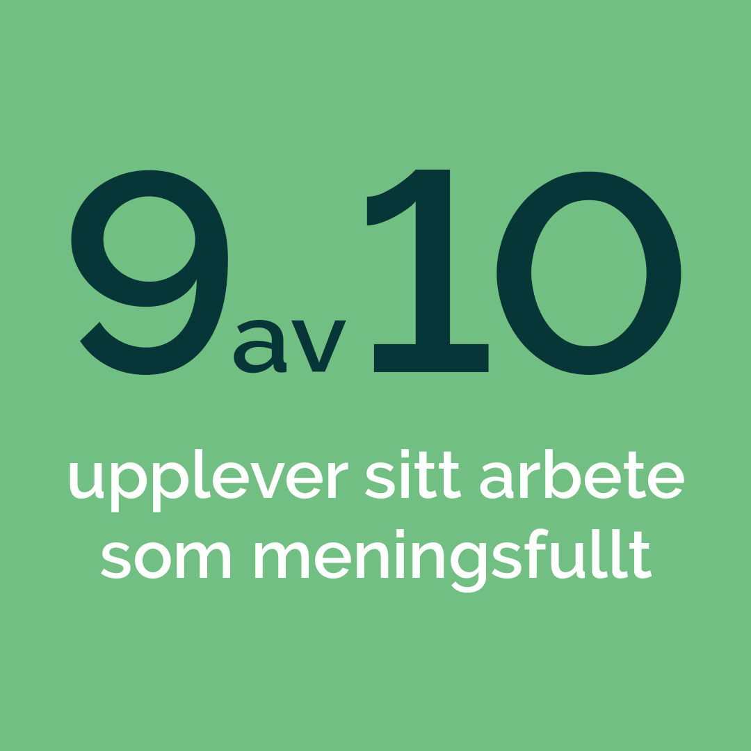 Läs mer om artikeln Meningsfullt arbete