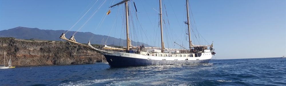 ZainabFB-kurs_2005191723 ZainabFB-kurs_2005191723